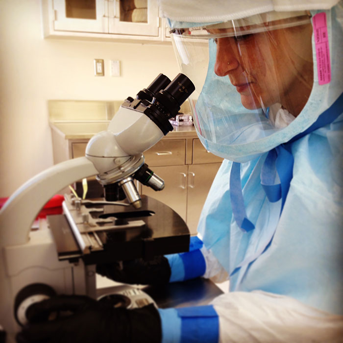 Dr. Cristine Lawson seen in an NIH laboratory in 2015