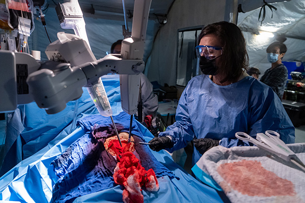 Dawn L. Rosarius conducts a simulated surgical procedure