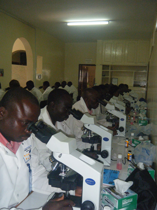 Students at microscopes