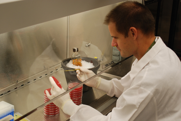 Lt. Col. Fabrice Biot, a Soldier in the French Army, works in a lab