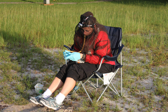 Evaluation participant collects mosquitoes