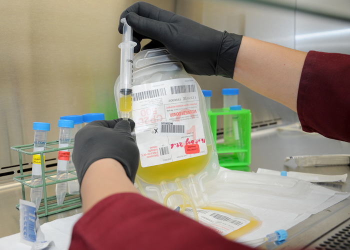 Platelets are drawn to prepare them for a series of tests